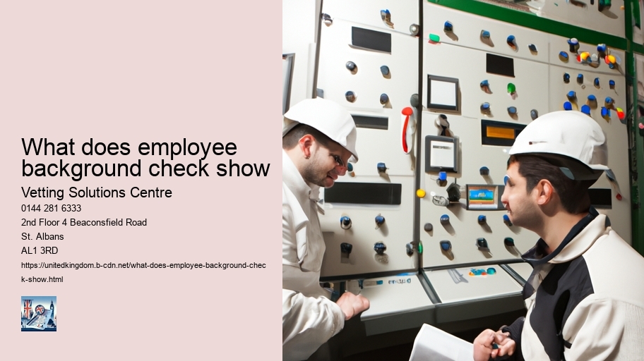 what does employee background check show